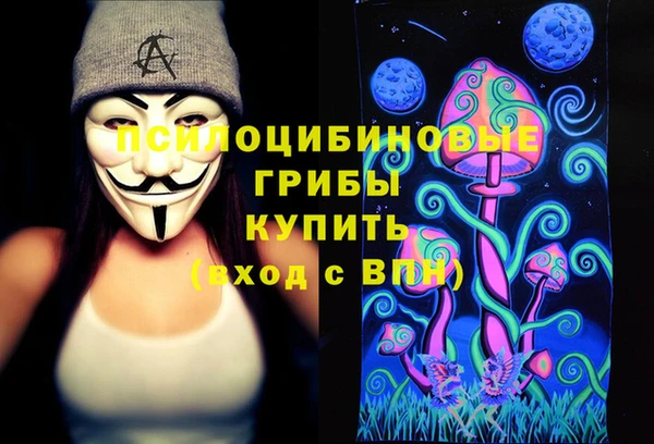 спайс Арсеньев