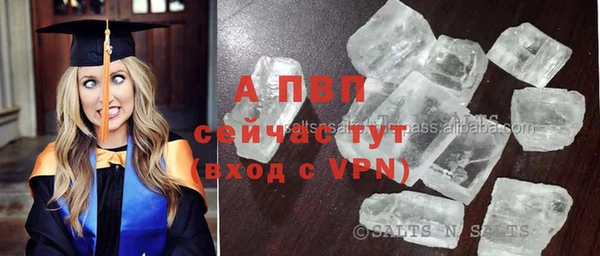 спайс Арсеньев