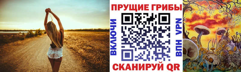 Псилоцибиновые грибы GOLDEN TEACHER Новоалександровск